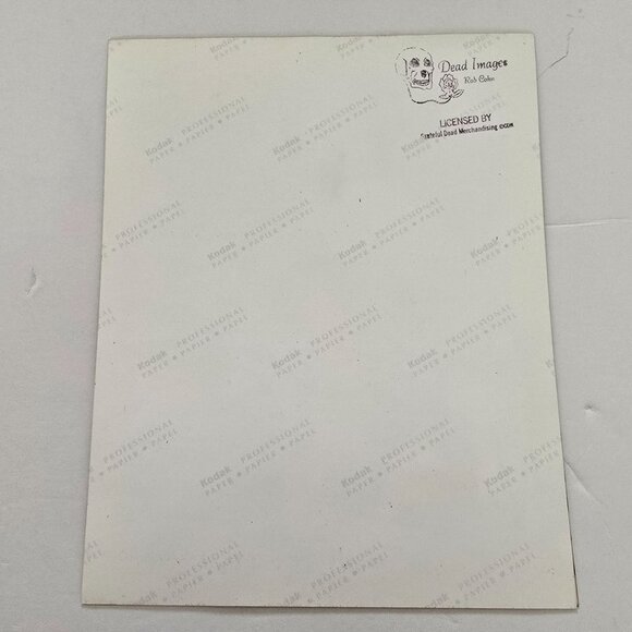 Grateful Dead Licensed Photo Print By Rob Cohn Bassist Phil Lesh Glossy Kodak Pa - Picture 6 of 12